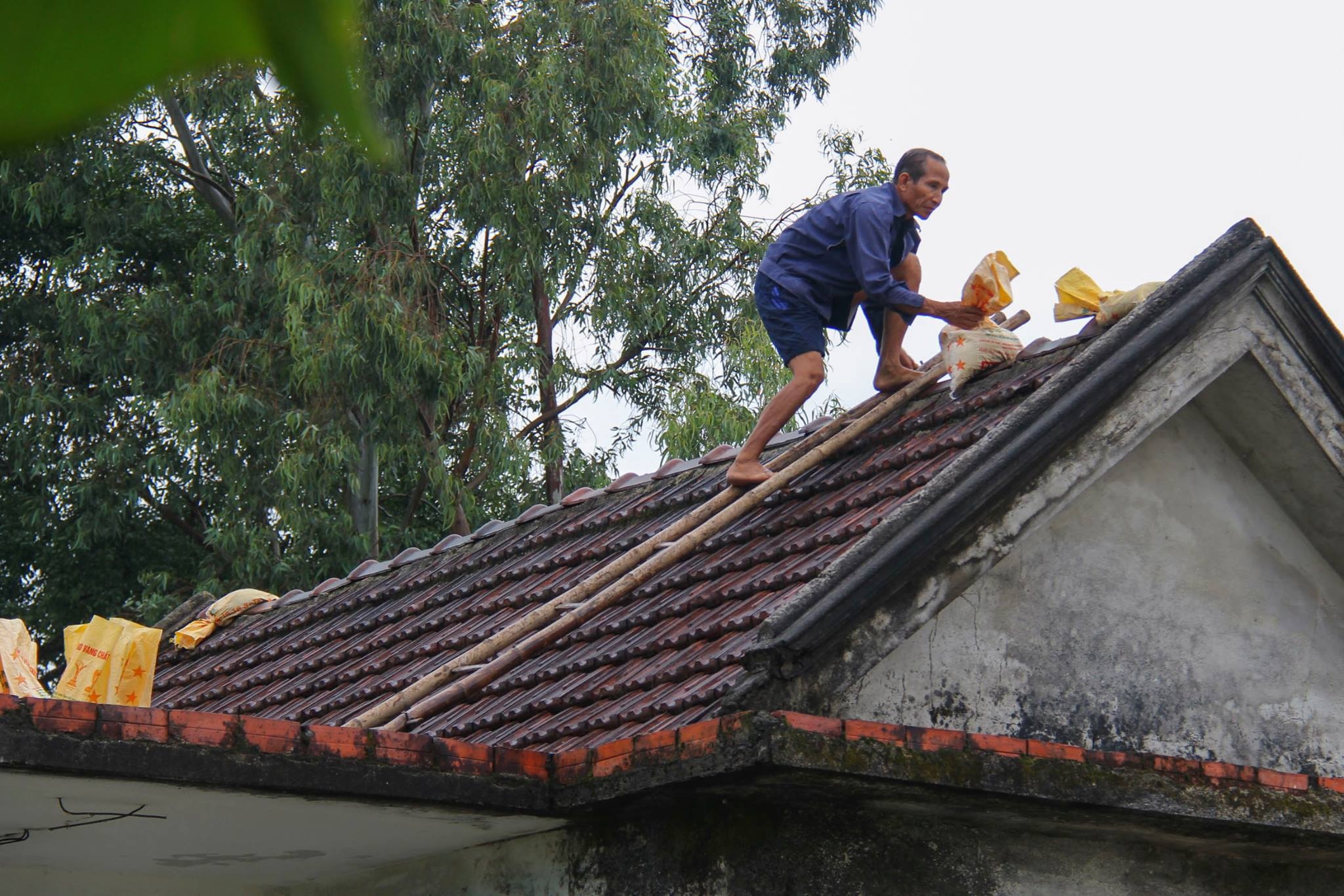 chống bão số 10 ảnh 1 chong bao so 10 anh 1