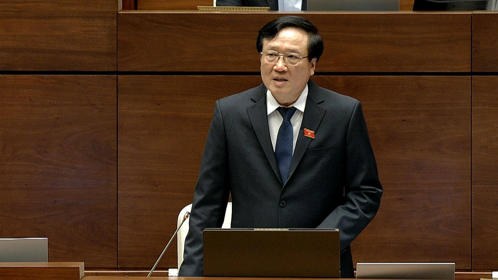 Chanh an toa toi cao noi ve vu Chau Thi Thu Nga chay tien vao Quoc hoi hinh anh