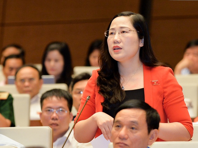 Quoc hoi thao luan kinh te - xa hoi ngay 1/11 hinh anh