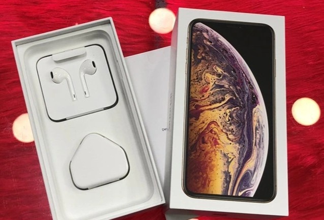 'Tuyt coi' cong ty moi truong o Ca Mau mua 4 iPhone tang lanh dao hinh anh