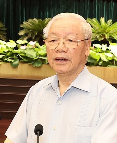 dau tau TP.HCM anh 1