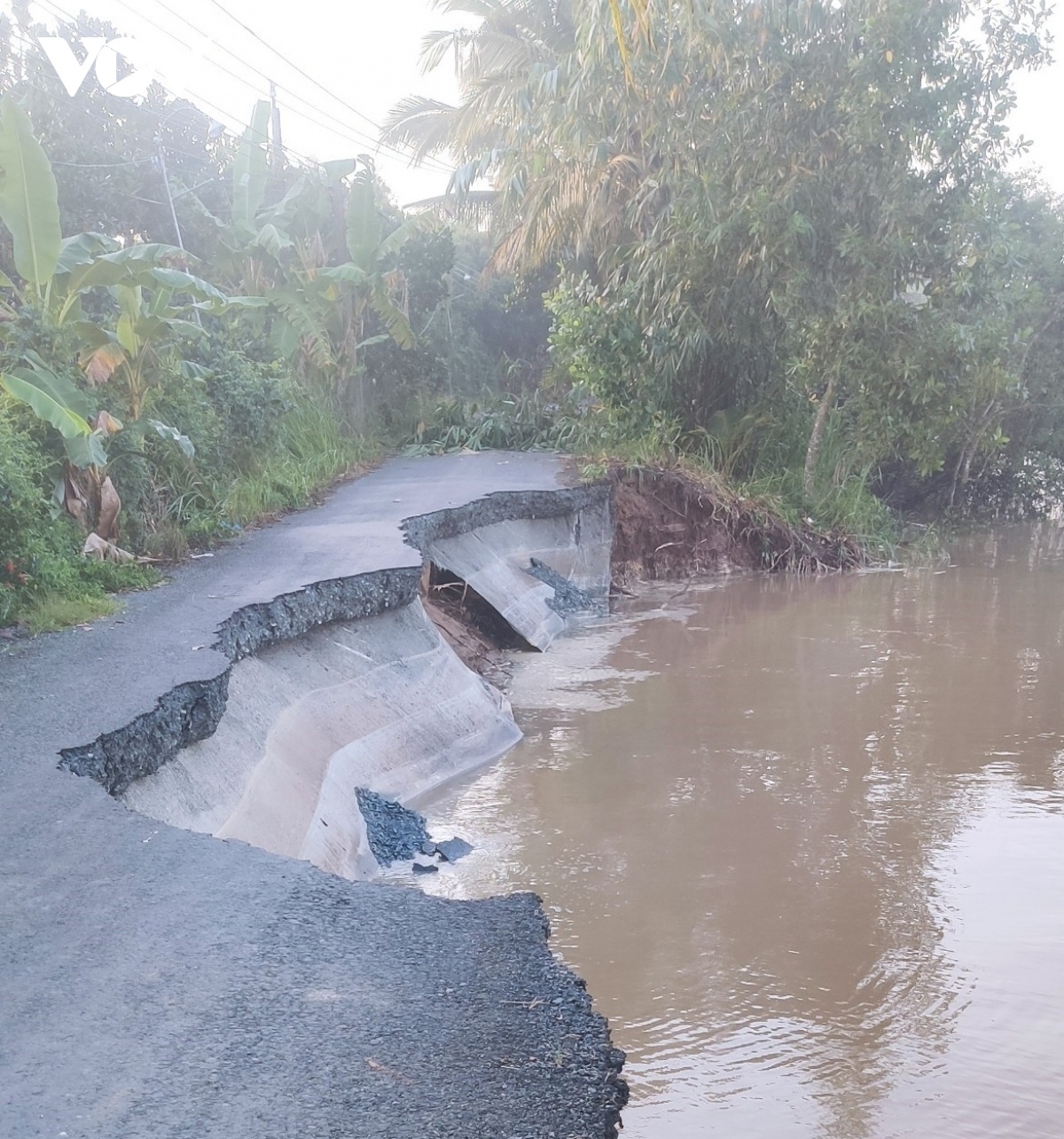 sat lo do trieu cuong anh 1