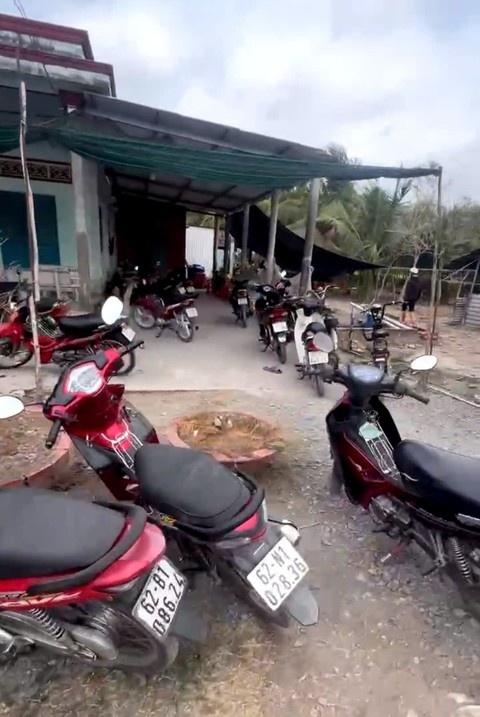 Tổ chức đánh bạc,  Đá gà,  Hình thức đá gà ảnh 1 To chuc danh bac,  Da ga,  Hinh thuc da ga anh 1