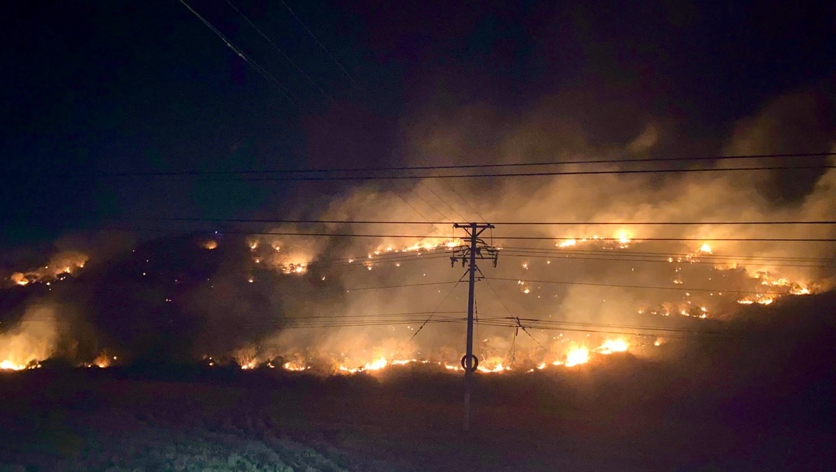 Chay Nui Tau Binh Thuan anh 1