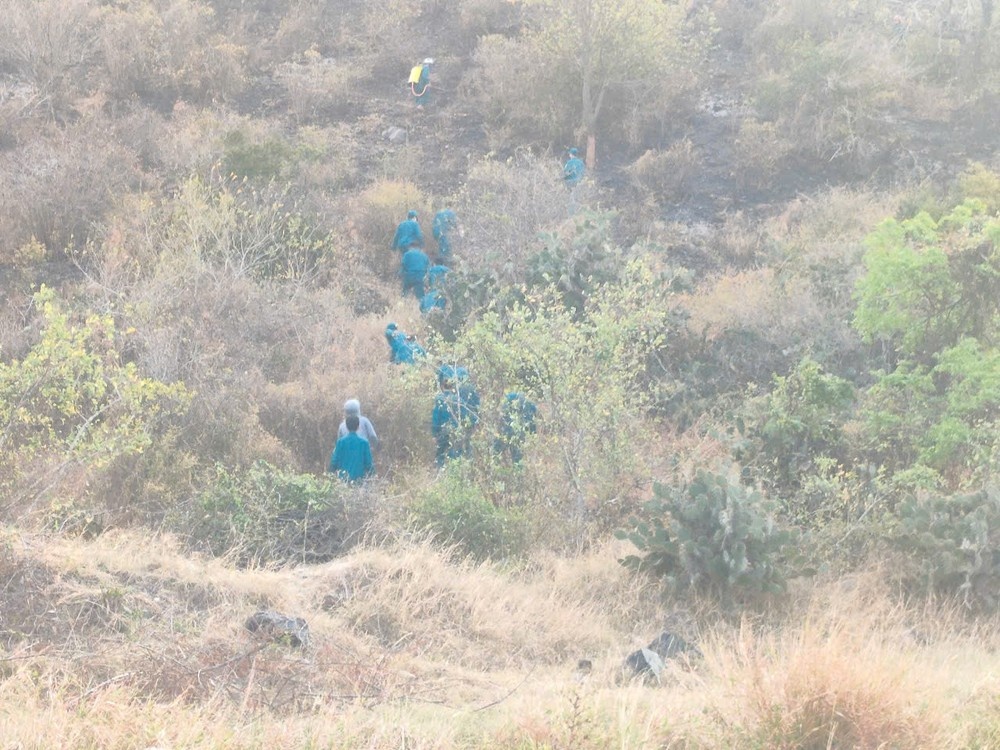 Chay Nui Tau Binh Thuan anh 4