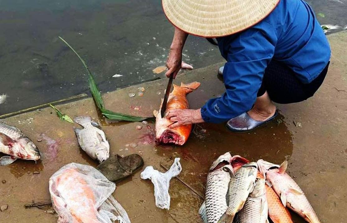 Ca chet bat thuong noi trang suoi o Bim Son, dan vot ve cho ga an hinh anh