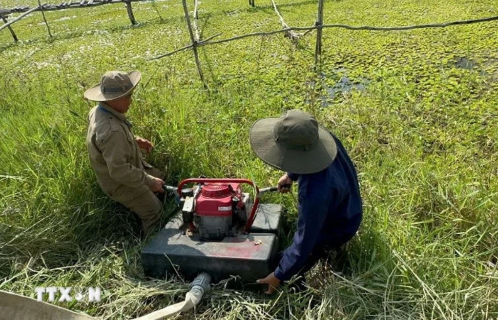 Chay rung Ca Mau anh 1