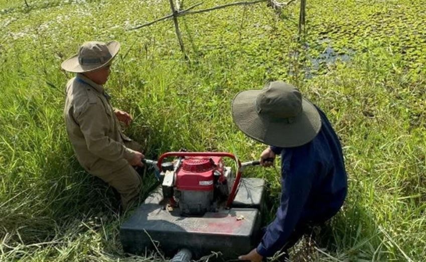 Gan 4.800 ha rung o Ca Mau co nguy co chay cap cuc ky nguy hiem hinh anh