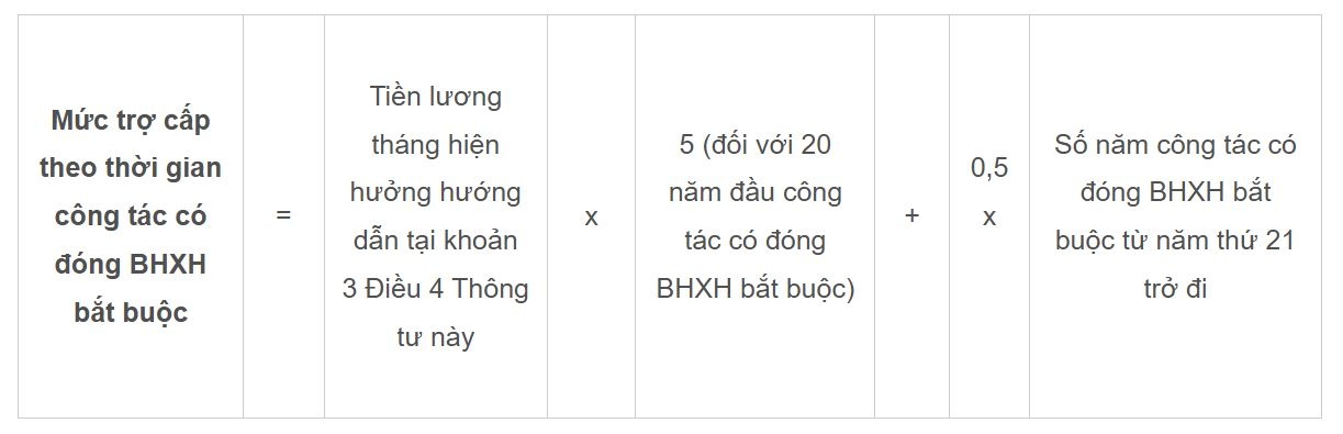 Bo doi nghi huu som anh 2