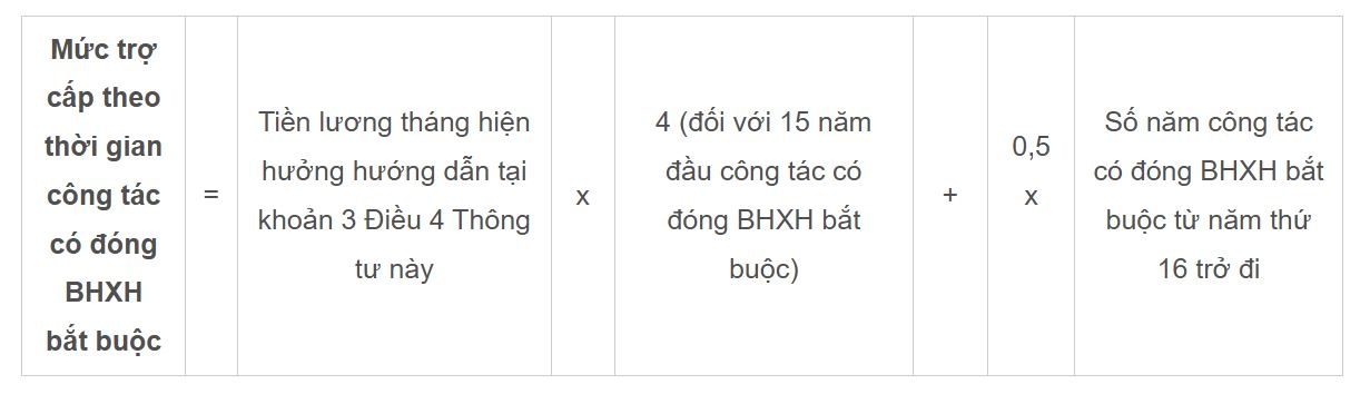 Bo doi nghi huu som anh 3