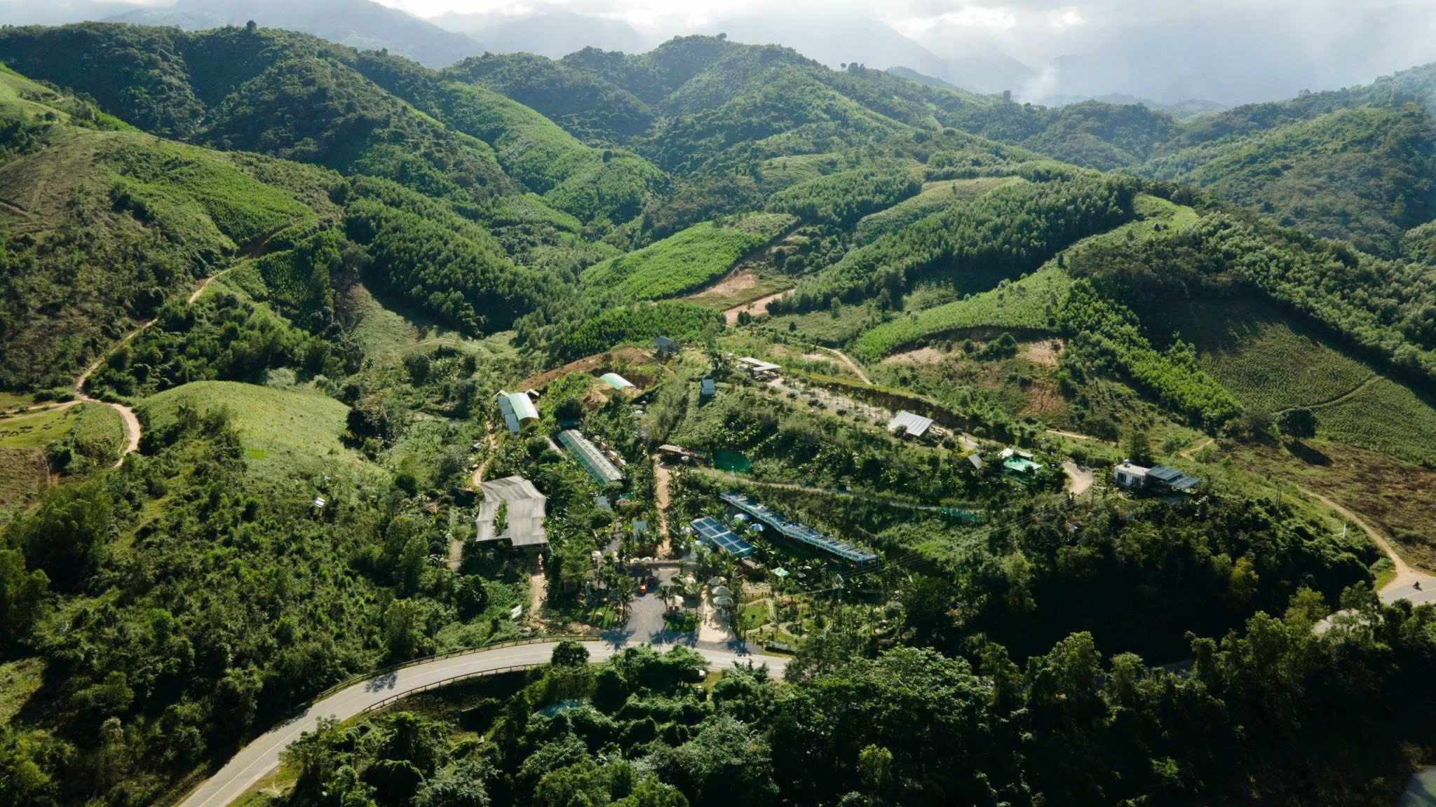 Chi cuc thue o Khanh Hoa xin loi vi 'chan' lam thu tuc dat dai cua dan hinh anh