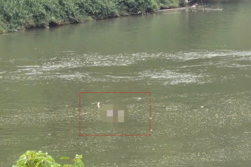 Thi the song Dong Nai anh 1