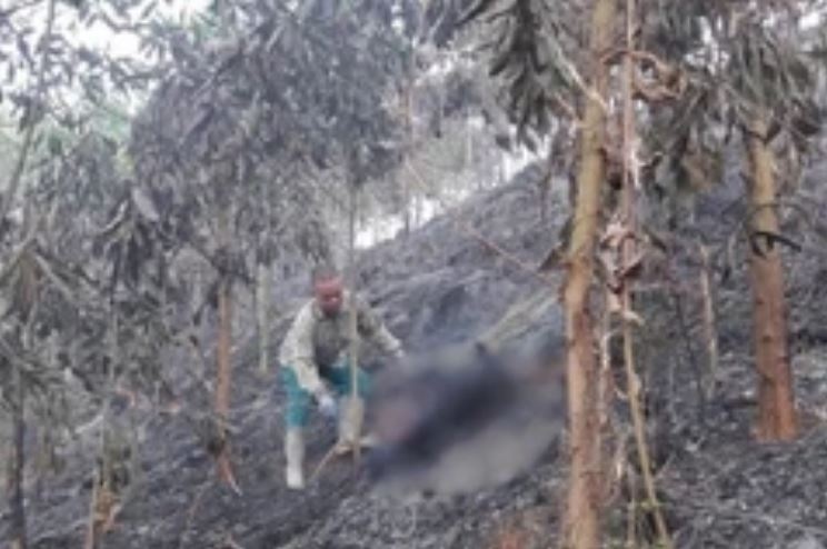 Phat hien mot phu nu tu vong trong vu chay rung hinh anh