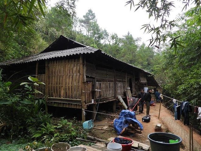 Bat tam giam nghich tu tam xang dot bo me tu vong hinh anh