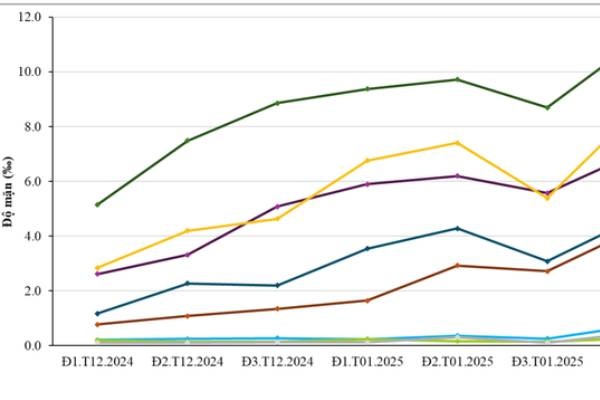 Xam nhap man tai TP.HCM nghiem trong nhat trong 5 nam qua hinh anh