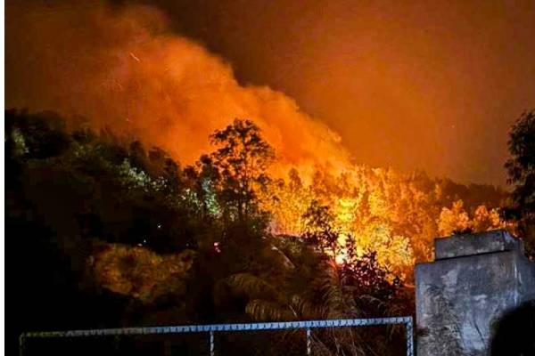 Gan 400 can bo, chien si chua chay rung o Hai Duong hinh anh