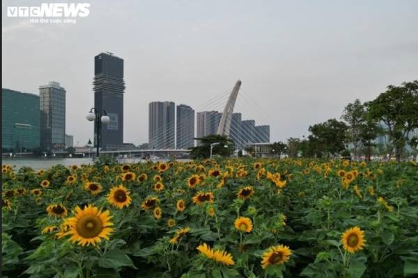 Thoi tiet TP.HCM anh 1