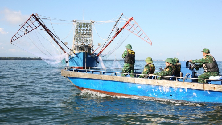 Quang Ninh - Hai Phong hop khan, chu dong ung pho bao Matmo hinh anh