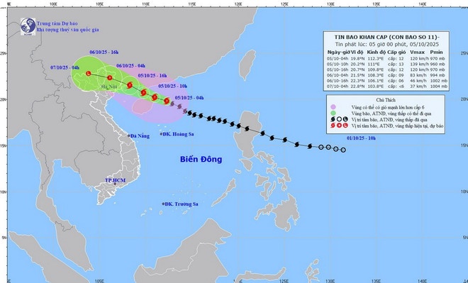 Bao so 11 Matmo sap do bo Vinh Bac Bo, canh bao mua lon dien rong hinh anh