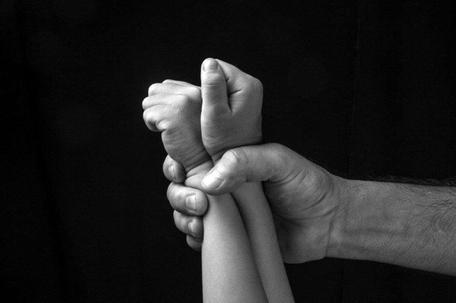 Ong Nguyen Dac Vu khong con la tu si hop phap hinh anh