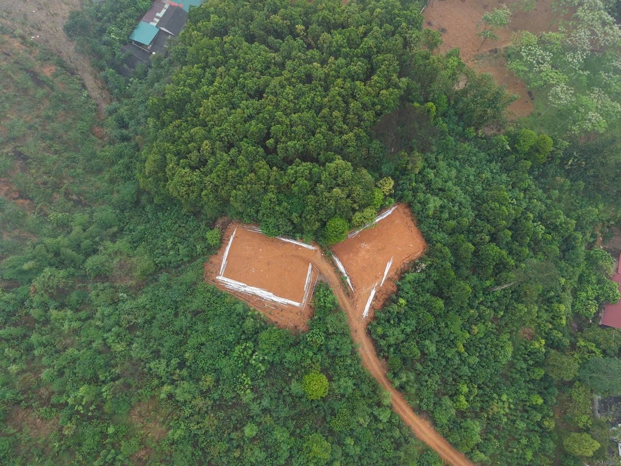 Canh khac la tren dat 'moc' nha khong mong hinh anh