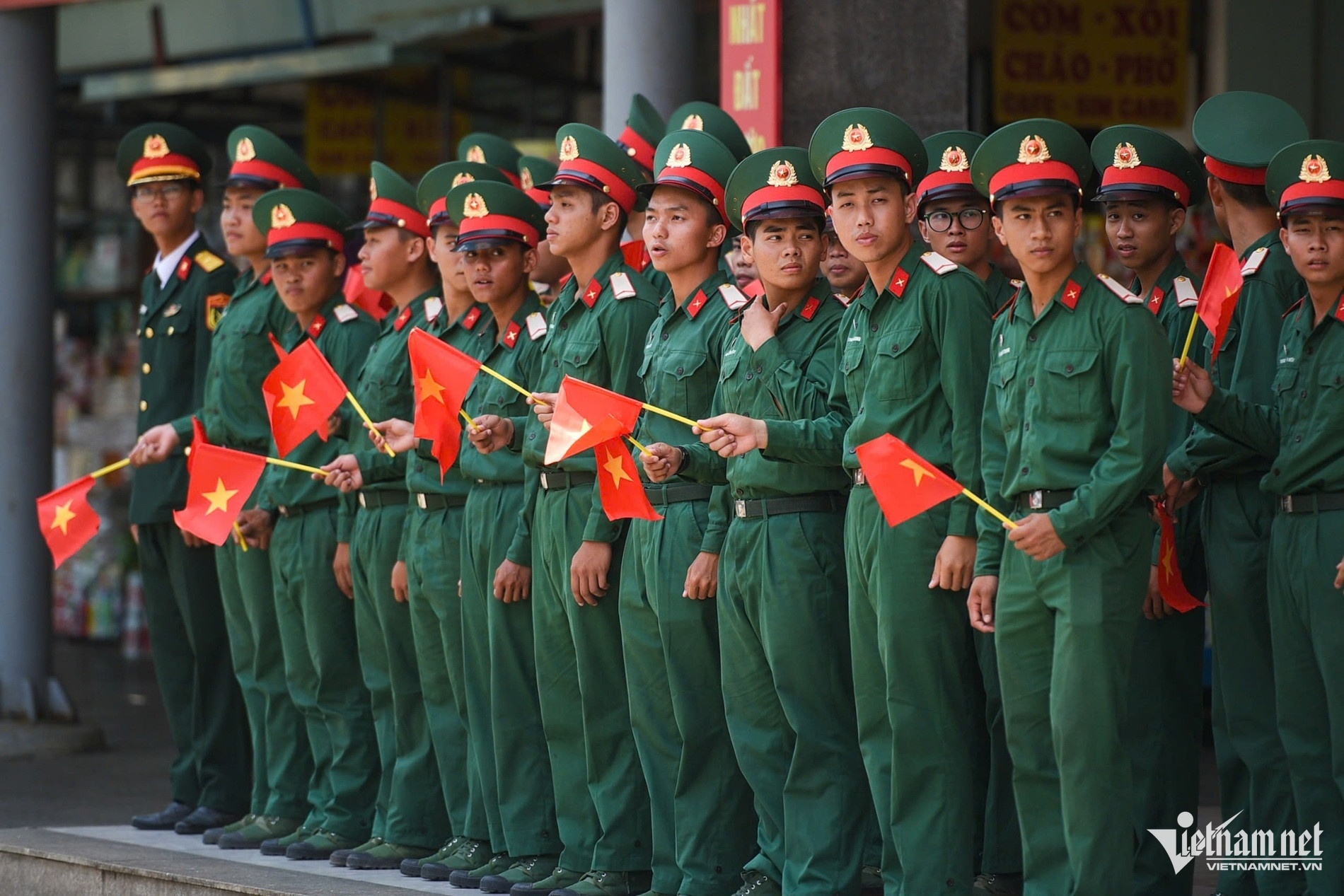 Tha chim bo cau anh 2