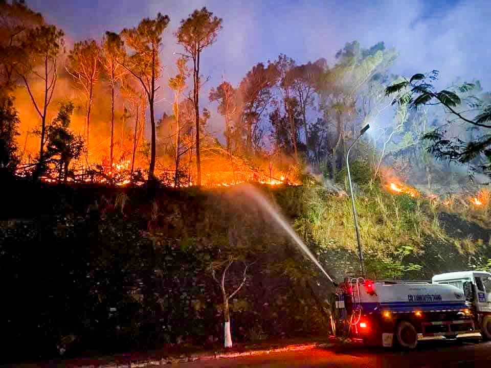 Chay rung Do Son anh 1