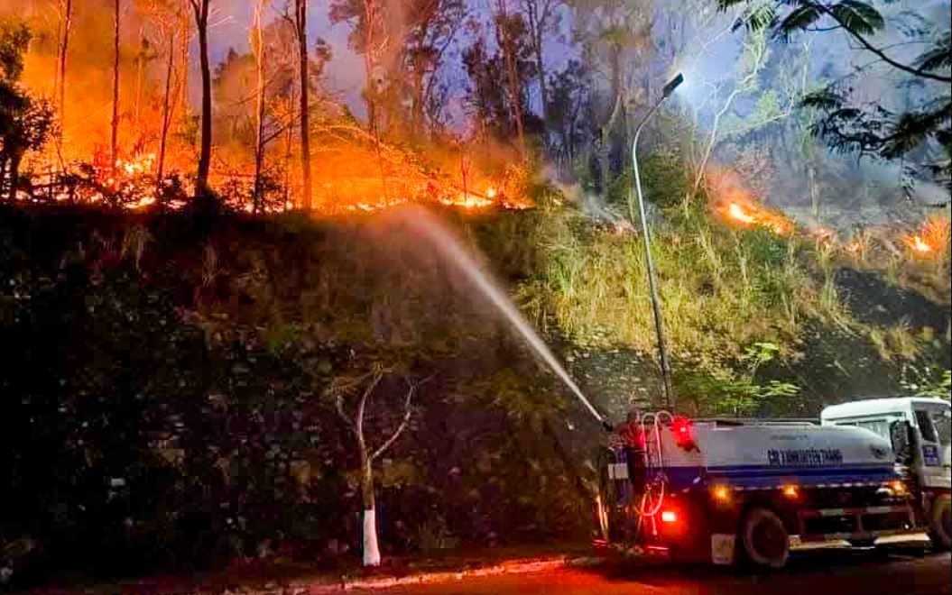 Nhanh chong xu ly chay rung o Do Son hinh anh