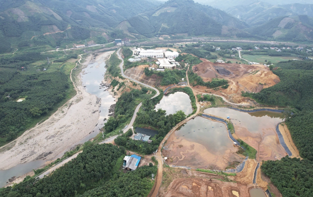 Chu tich Cong ty Thai Duong chi dao thuoc cap xa hang nghin tan bun hinh anh