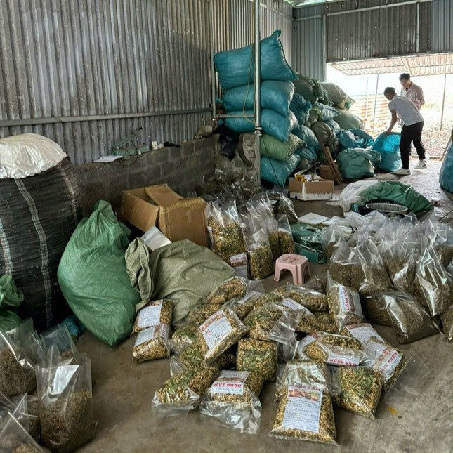 Khau Vai Leng,  Dai Trang HG gia,  Buu cuc Best Express,  Cua hang Best Express,  Giao hang Best Express,  Chu Best Express,  Giam doc Best Express,  Chi nhanh Best Express,  Nam duoc Mac Minh,  282 Nguyen Huy Tuong anh 3