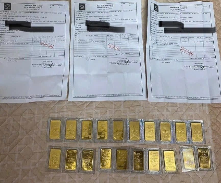 Vo chong Viet kieu lua dao tien ty hinh anh