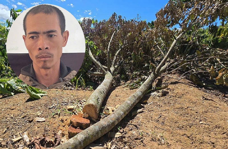 Mau thuan tien bac anh 1