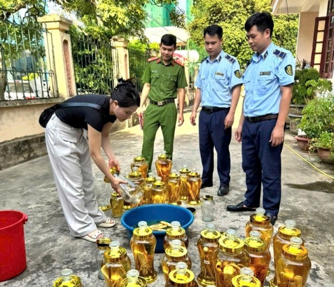 Ban ruou sam khong ro nguon goc, ho kinh doanh o Sam Son bi xu phat hinh anh