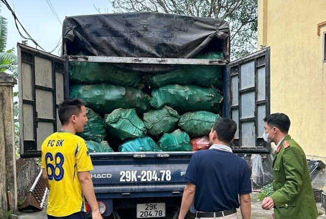 Phat hien oto cho hon 2,5 tan xuong dong vat co dau hieu phan huy hinh anh