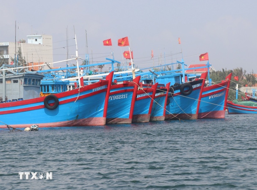ung pho bao anh 1