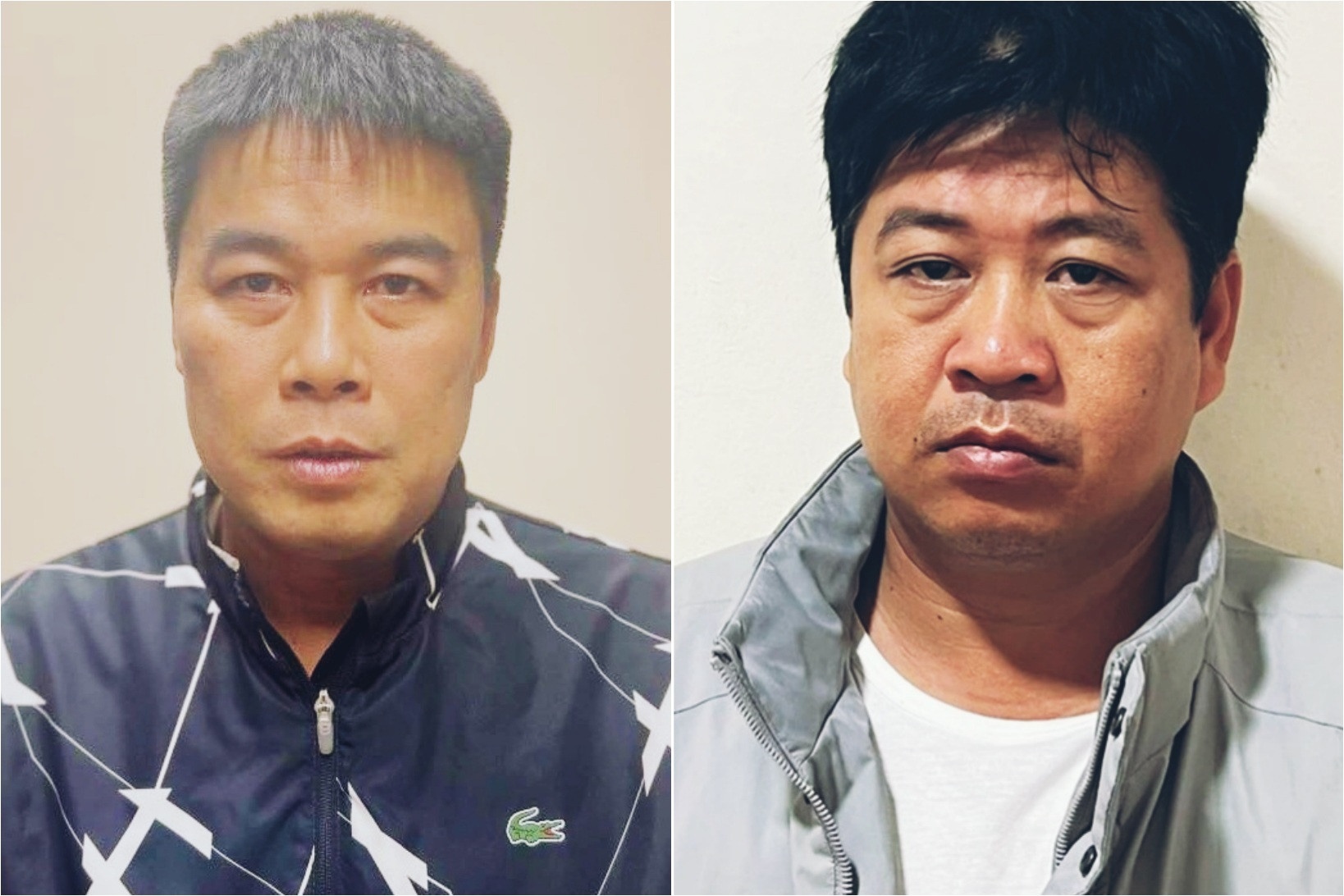 Tap doan Phuc Son,  Hau Phao,  Dang Trung Hoanh anh 1