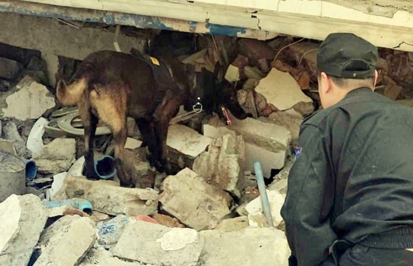 Bo doi canh khuyen ho tro doan cuu ho Viet Nam o Myanmar hinh anh