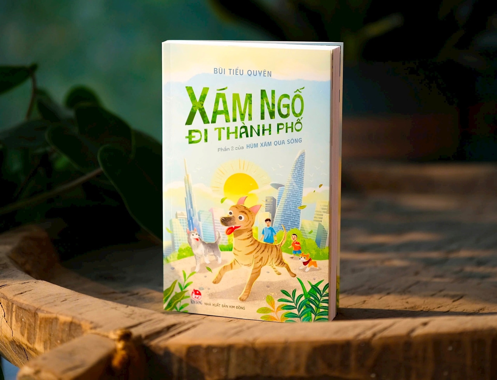 Xam Ngo anh 1