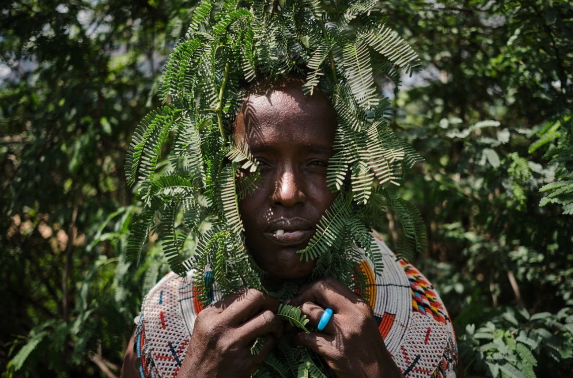 Cay chong sa mac hoa bien thanh hiem hoa sinh thai o Kenya hinh anh