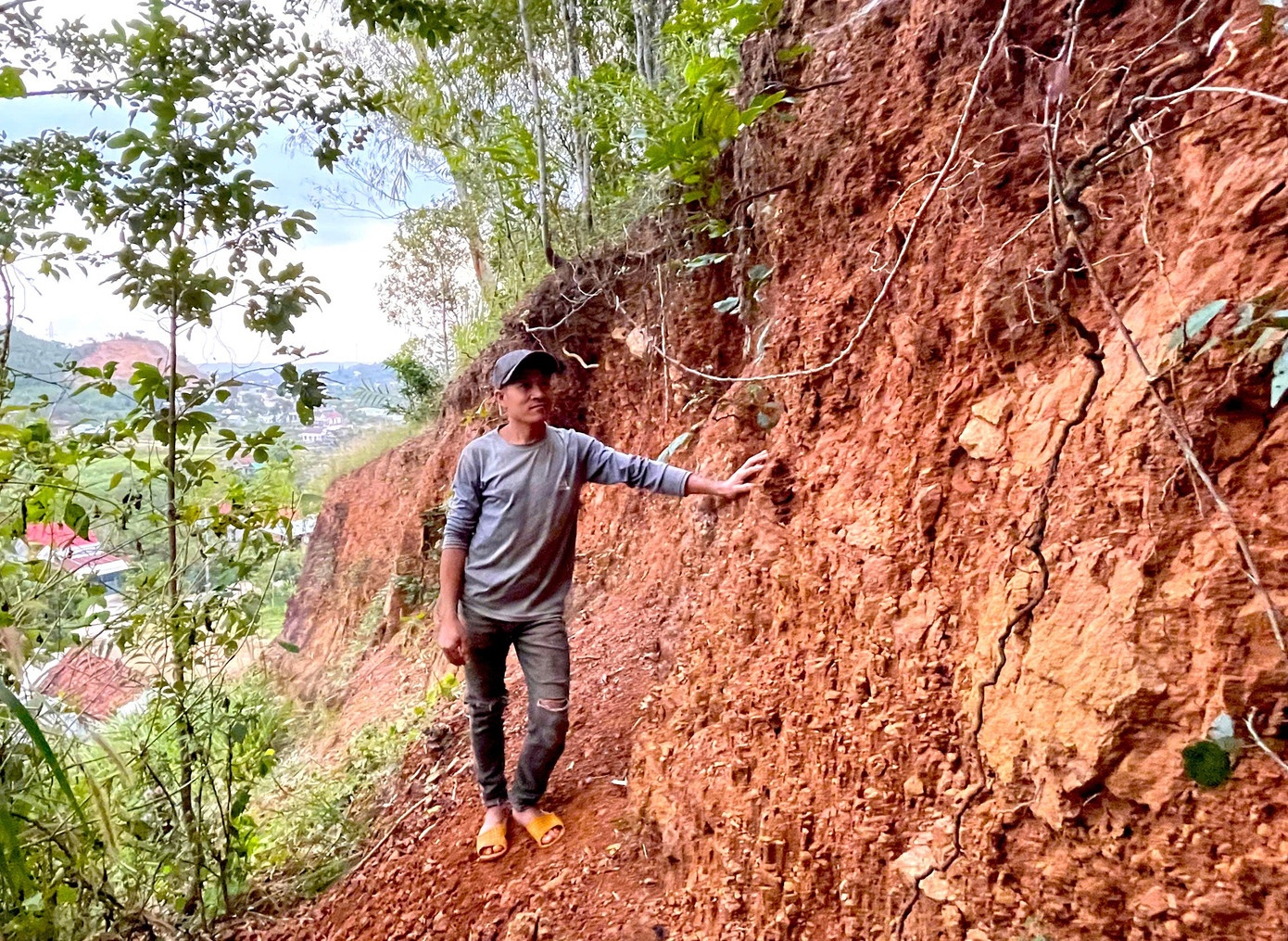 Vet nut dai,  hon 30 m anh 2