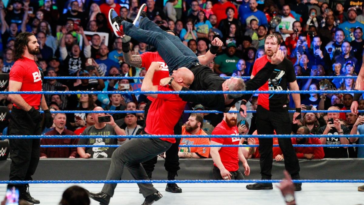 Sieu sao WWE hon chien anh 10