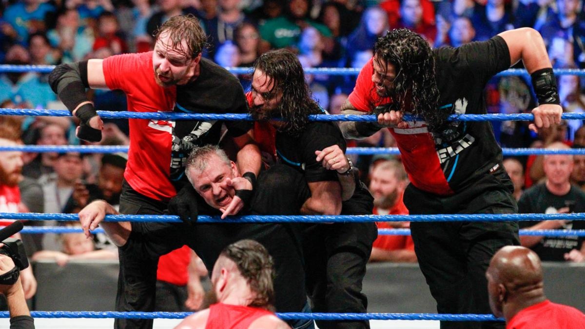 Sieu sao WWE hon chien anh 9