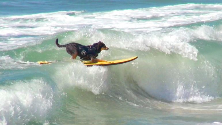 10 mon the thao ky quac nhat hanh tinh anh 2