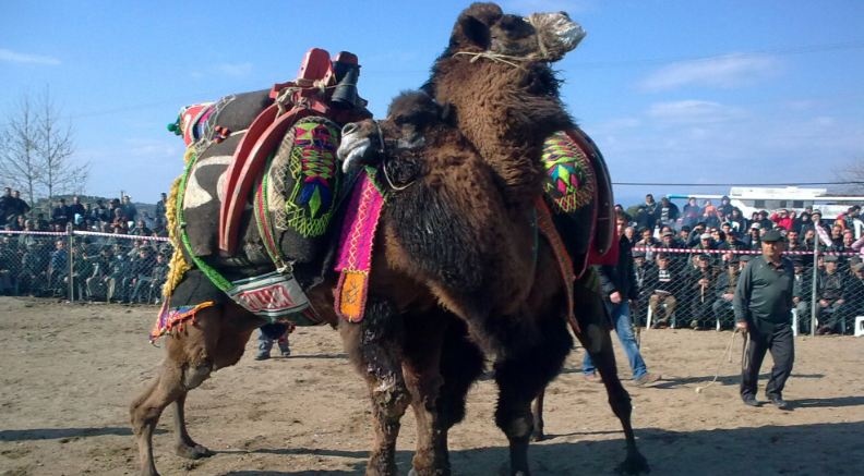 10 mon the thao ky quac nhat hanh tinh anh 3