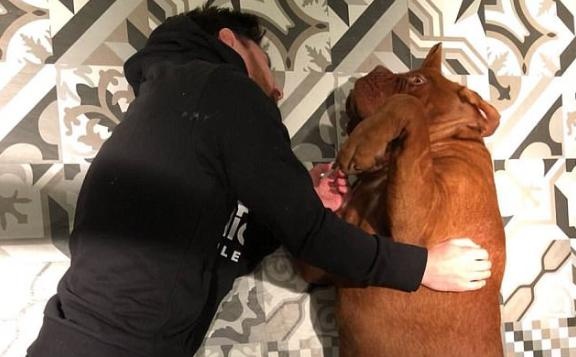 Messi, Sanchez va nhung sao bong da yeu cun cung hinh anh