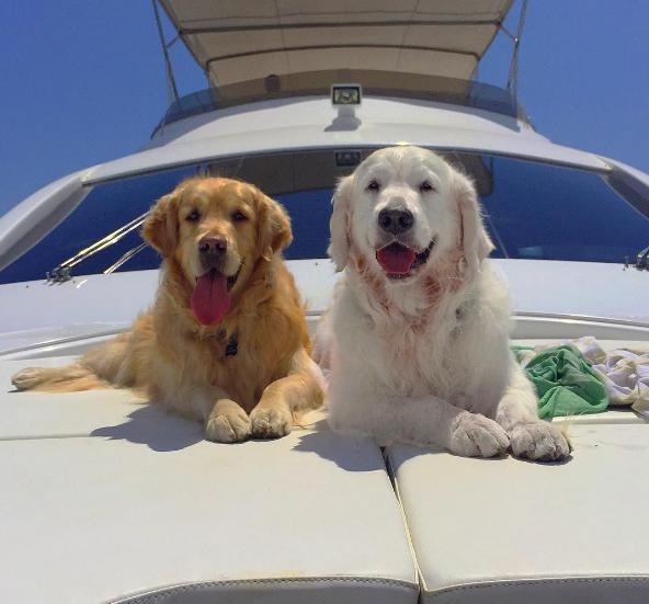 nhung sao bong da yeu cun cung anh 4