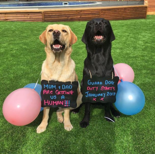 nhung sao bong da yeu cun cung anh 5