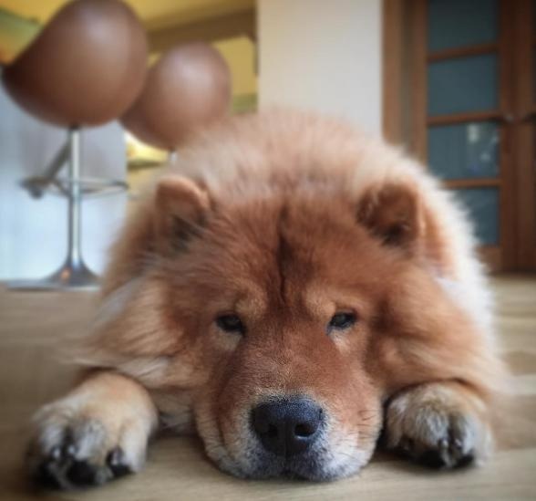 nhung sao bong da yeu cun cung anh 7