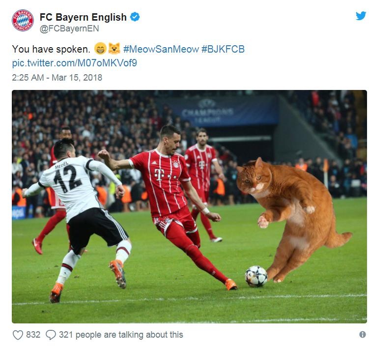 Tran dau cua Bayern bi gian doan vi mot chu meo anh 2