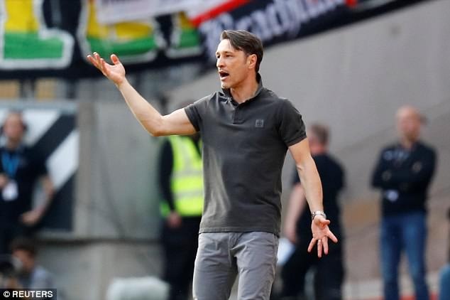 Bayern có HLV mới ảnh 2 Bayern co HLV moi anh 2